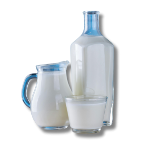 LAIT DE BREBIS