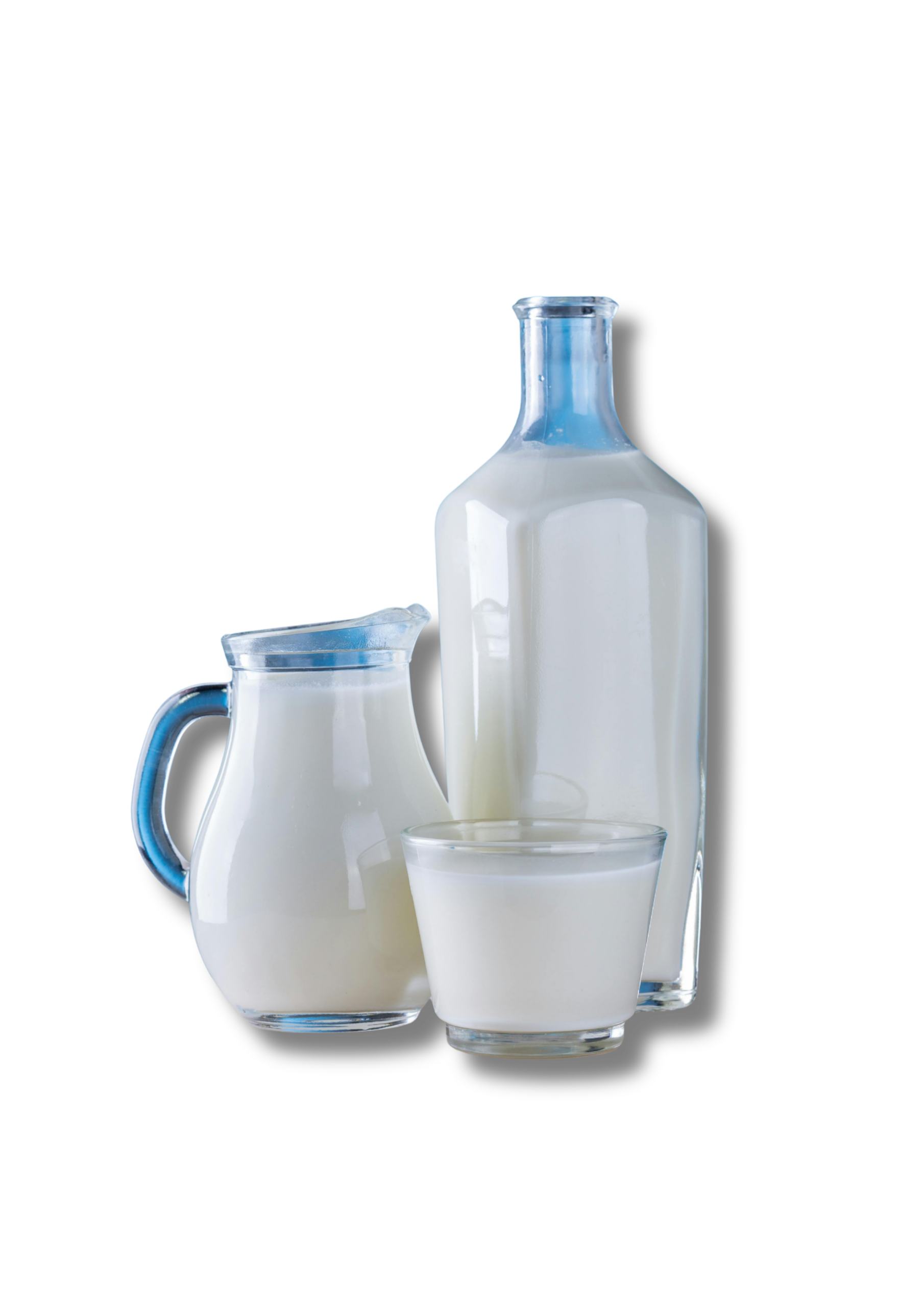 Base de nombreuses spécialités locales, le lait de brebis est onctueux et naturellement doux.